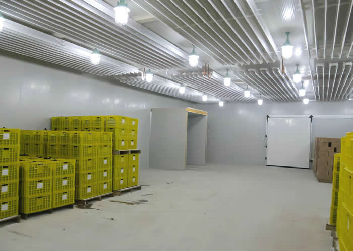 低溫冷庫溫度多少合適?是否越低越好